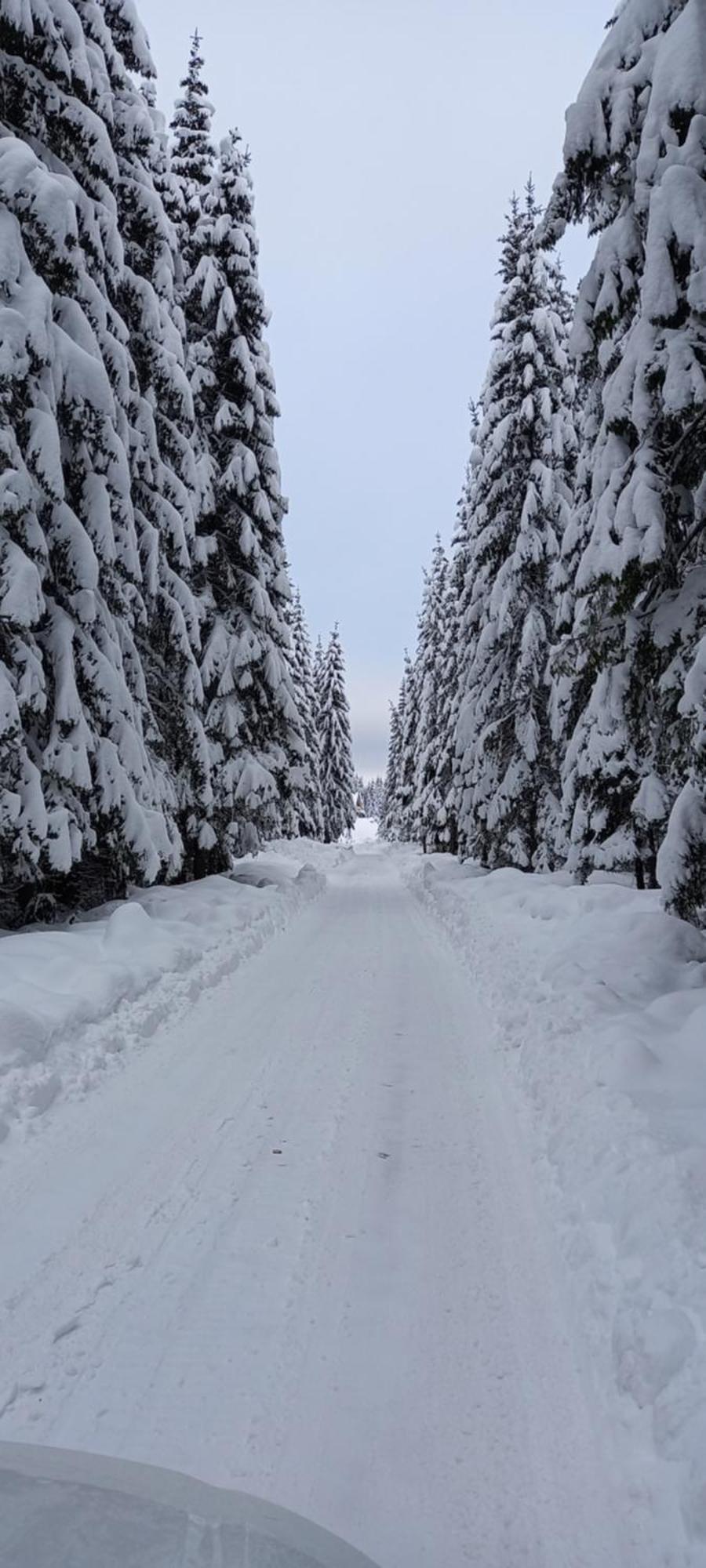 Monte Zen Villa Zabljak  Bagian luar foto