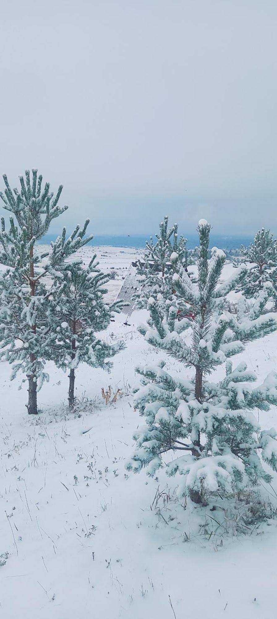 Monte Zen Villa Zabljak  Bagian luar foto