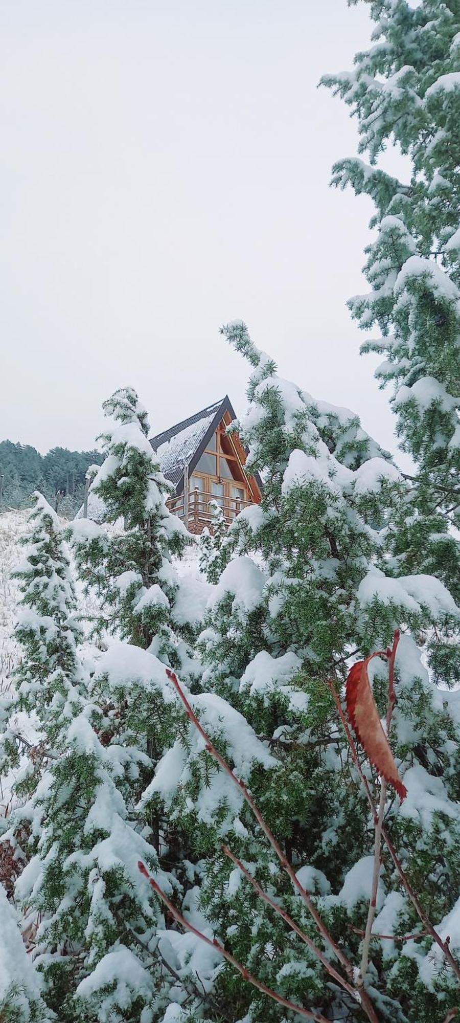 Monte Zen Villa Zabljak  Bagian luar foto