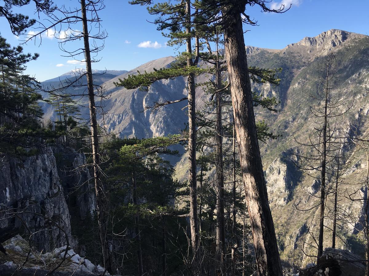 Monte Zen Villa Zabljak  Bagian luar foto