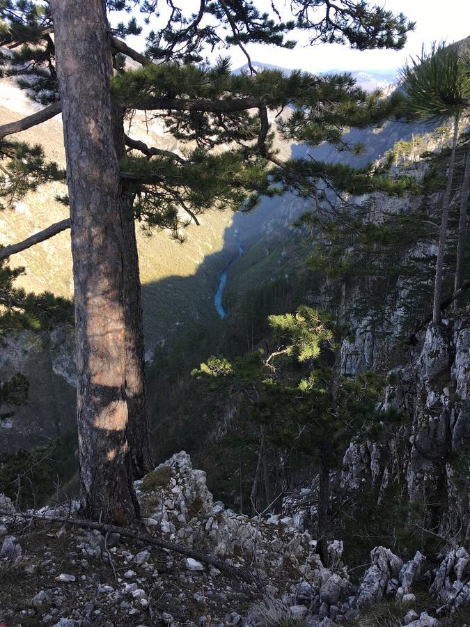 Monte Zen Villa Zabljak  Bagian luar foto